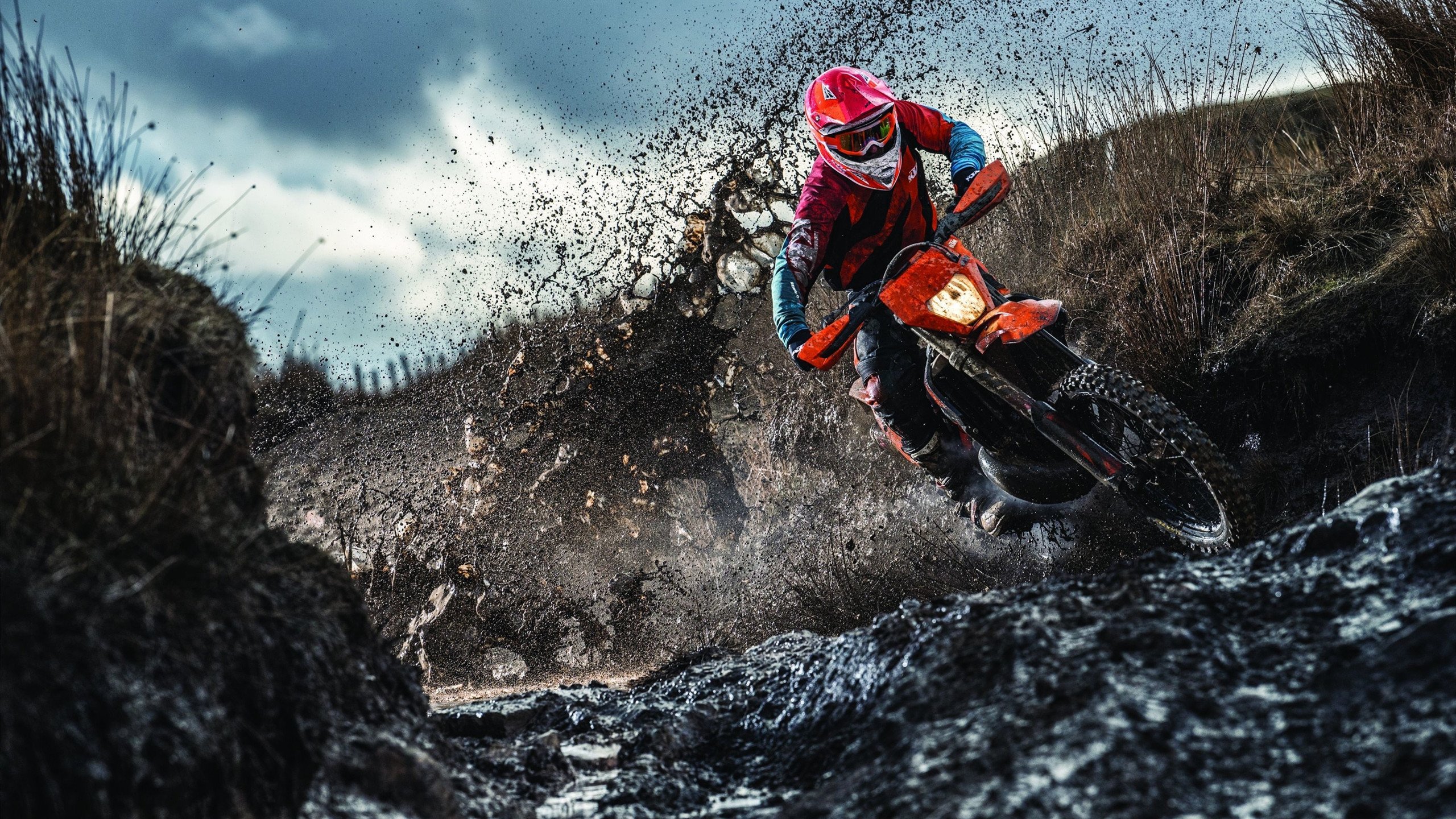 体育新闻中心启动体育内容创作人才培养计划，体育类深度报道